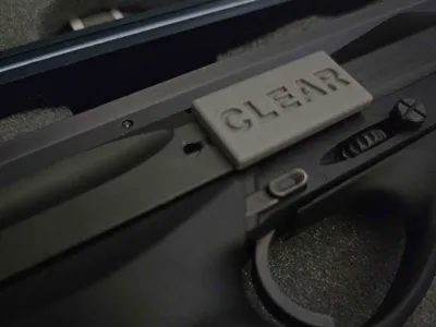 Beretta Neos and 22cal Safety Flag