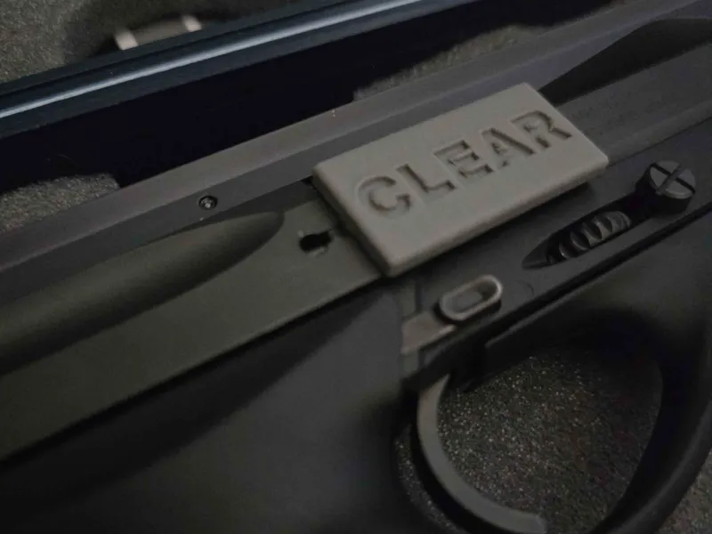 Beretta Neos and 22cal Safety Flag