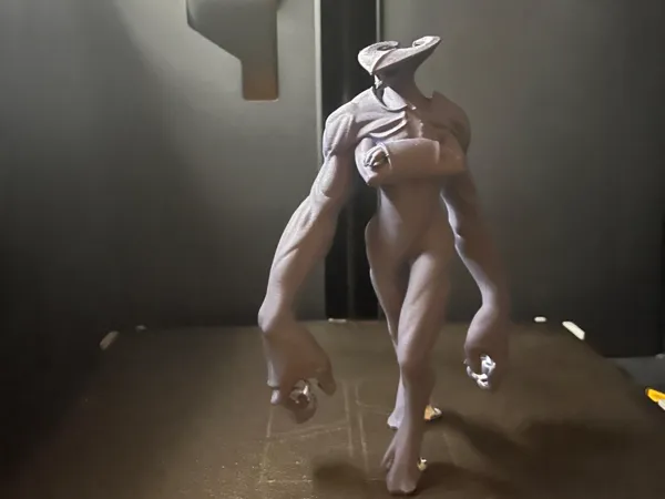 https://makerworld.bblmw.com/makerworld/model/DSM00000001792012/design/2025-09-14_d35549fe094518.jpg