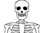 spooky skeloton