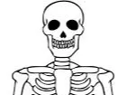 muffin's spooky skeloton