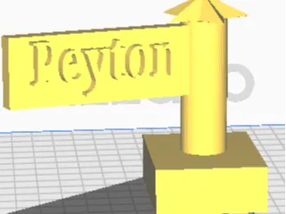 Name Flag