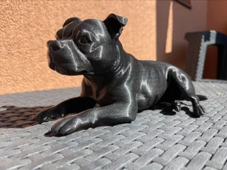 Staffordshire bulterier