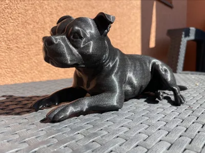 Staffordshire bulterier