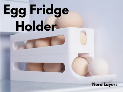 Egg Fridge Holder