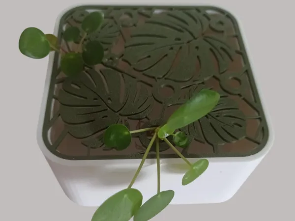 https://makerworld.bblmw.com/makerworld/model/DSM00000001800087/design/2025-09-16_caef479db16e58.png