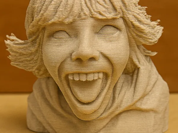 https://makerworld.bblmw.com/makerworld/model/DSM00000001800194/design/2025-11-17_121fcd9b58fcd.png