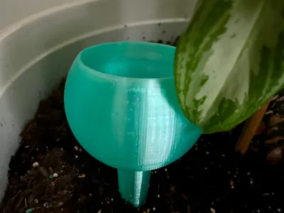House Plant Watering Bulb 