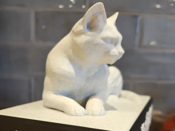 https://makerworld.bblmw.com/makerworld/model/DSM00000001800955/design/2025-09-16_30f0f516dde138.jpg