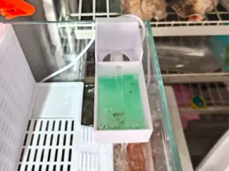 鱼缸/龟缸两用迷你滴滤过滤
