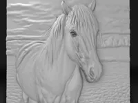 Tableau silhouette cheval — photo 1
