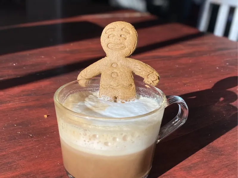 Hot Tubbing Gingerbread Man Cookie Cutter