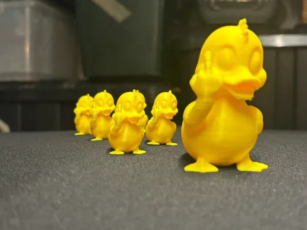 https://makerworld.bblmw.com/makerworld/model/DSM00000001805368/design/2025-09-21_ee4e5fba093a3.jpeg