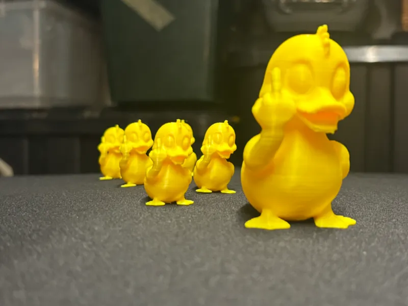 Duck You