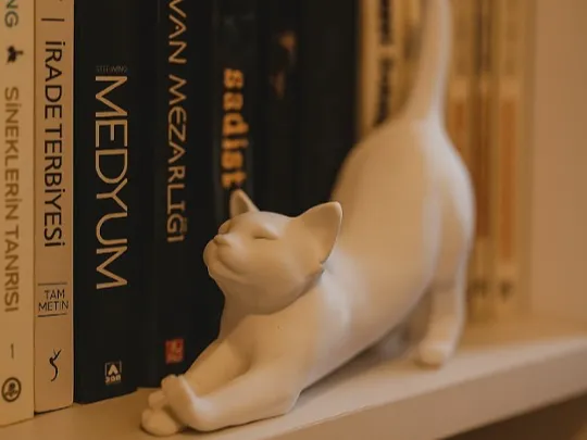 Esneyen Kedi
