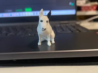 torben the dog (danish meme)