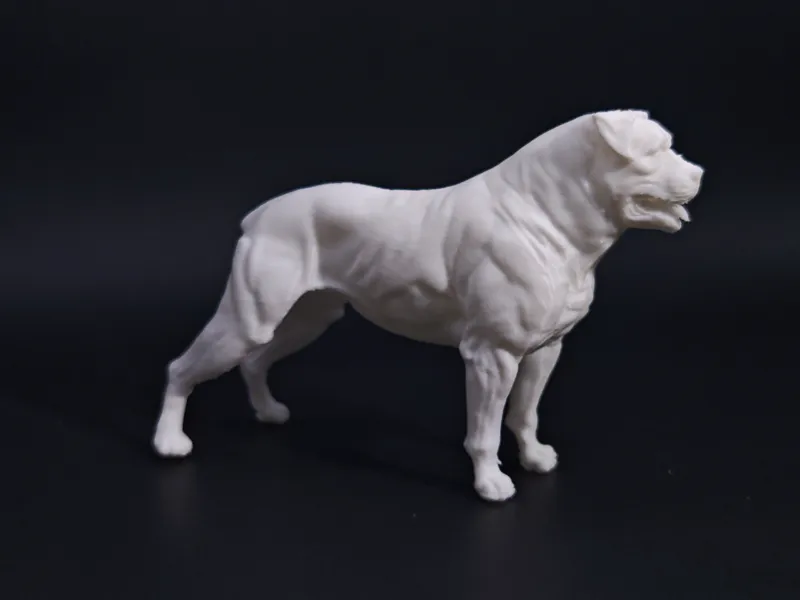罗威纳犬
