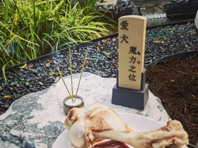 Pet Memorial Tablet Spirit Tablet