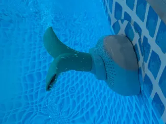 Intex Pool double nozzle 180°