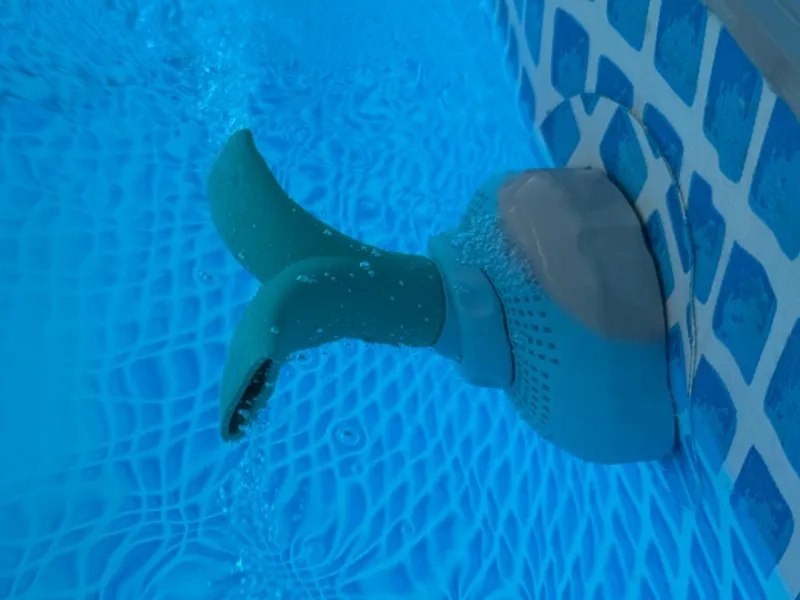 Intex Pool double nozzle 180°