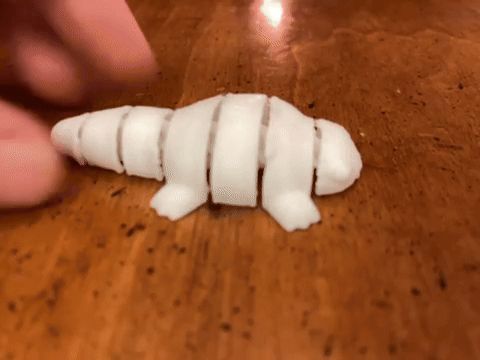 Cute Flexy Fat Salamander (print in place)