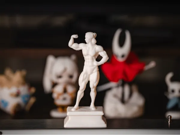 https://makerworld.bblmw.com/makerworld/model/DSM00000001813725/design/2025-09-20_73b0fbd0fdbca.jpg