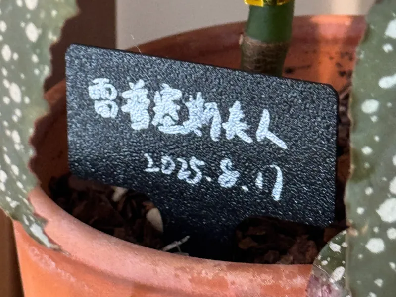 精致园艺标签牌3D模型 | 多肉植物标识牌 | 花园标签定制化解决方案 为绿植赋予“会说话的名片”
