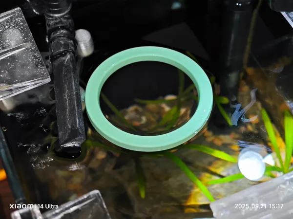 https://makerworld.bblmw.com/makerworld/model/DSM00000001814320/design/2025-09-21_eebec554df33a8.jpg