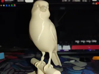 Passaro 3d