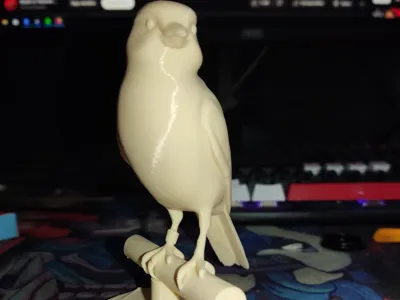 3D Bird