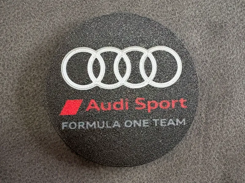 Audi F1 Coaster