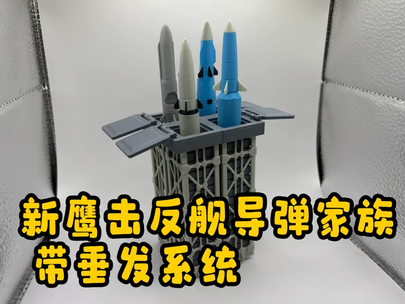 鹰击系列反击导弹-带垂发系统