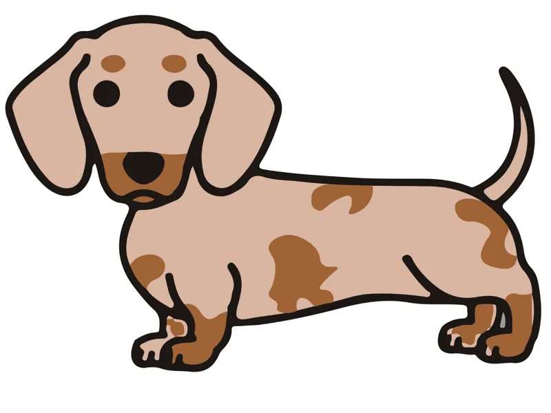 DOG - 01