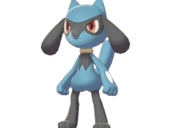 Pokemon - Riolu