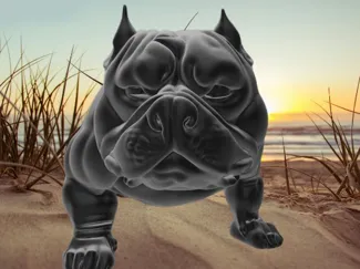 le gros chien