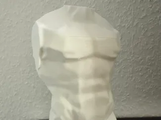 Low poly men body