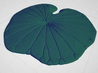 Hoja de loto 3D
