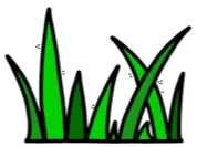 Gras