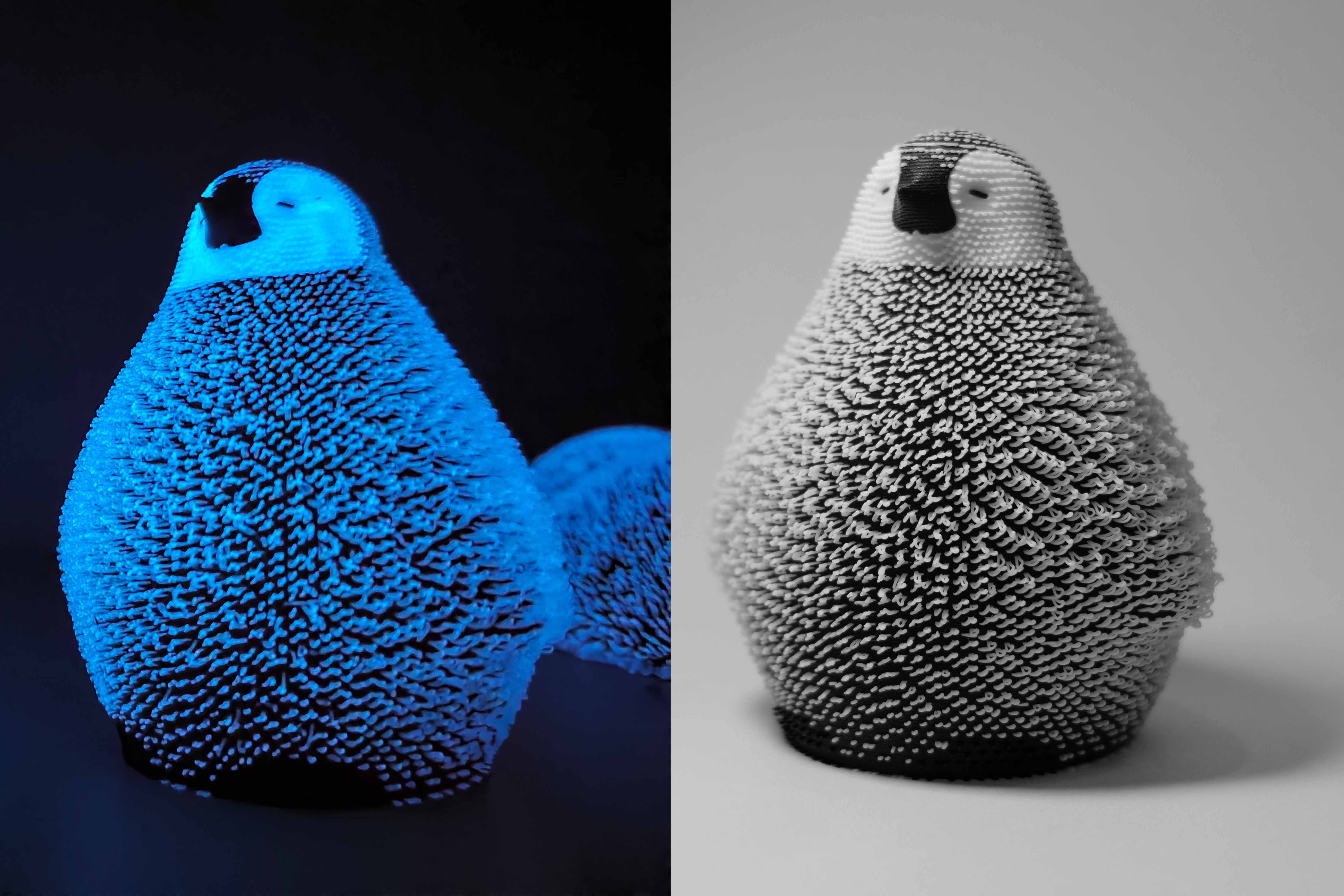 penguin.bakatareさん専用 penguin.bakatareさん専用 Friendguin