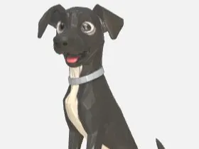 Cachorrinha