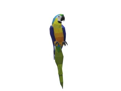 animal parrot