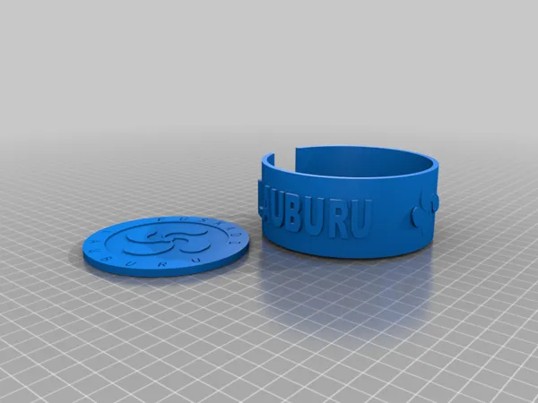 https://makerworld.bblmw.com/makerworld/model/DSM00000001827356/design/2025-09-15_jtbhlvxqy59p.png