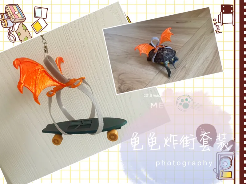 龟龟出街滑板～街头滑翔者