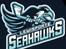 seahawks keychain