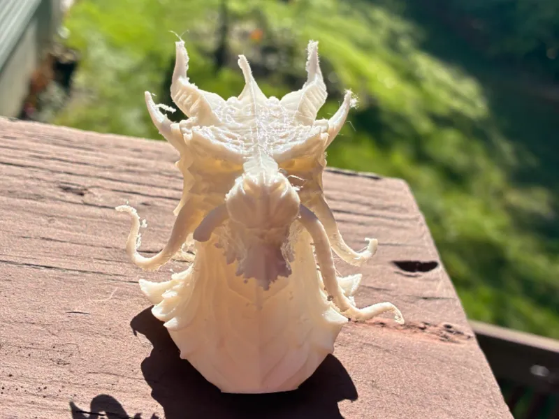Dragon Bust