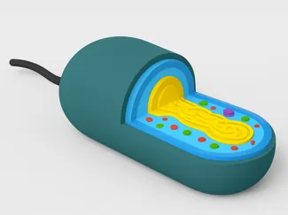 Célula procariótica bacteriana