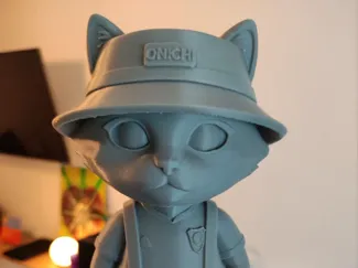 CAT Onichi