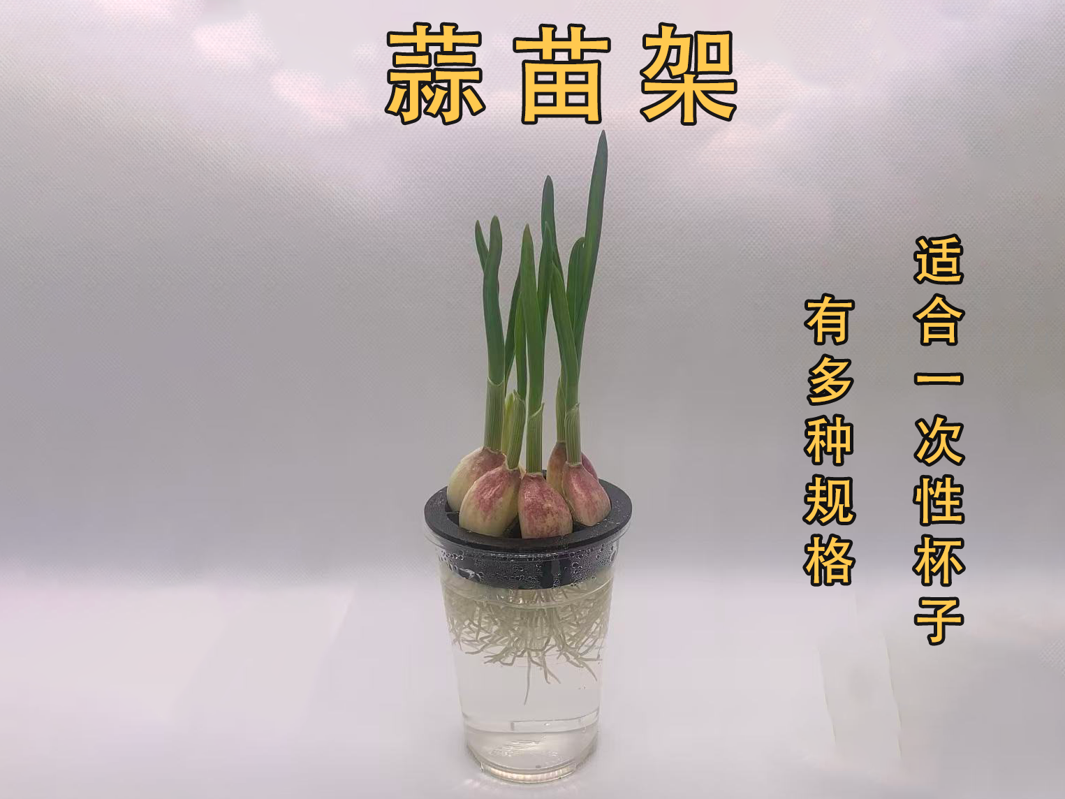 蒜苗架