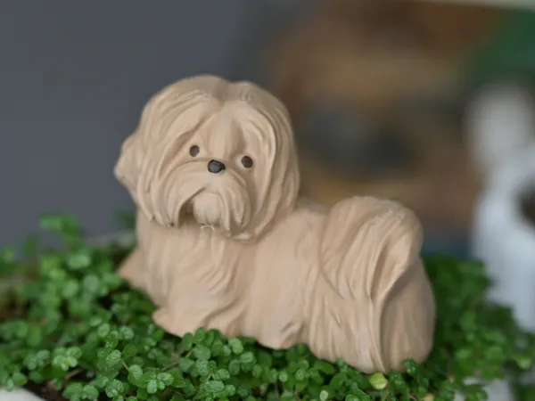 https://makerworld.bblmw.com/makerworld/model/DSM00000001834722/design/2025-09-28_0a955d13dab79.jpg