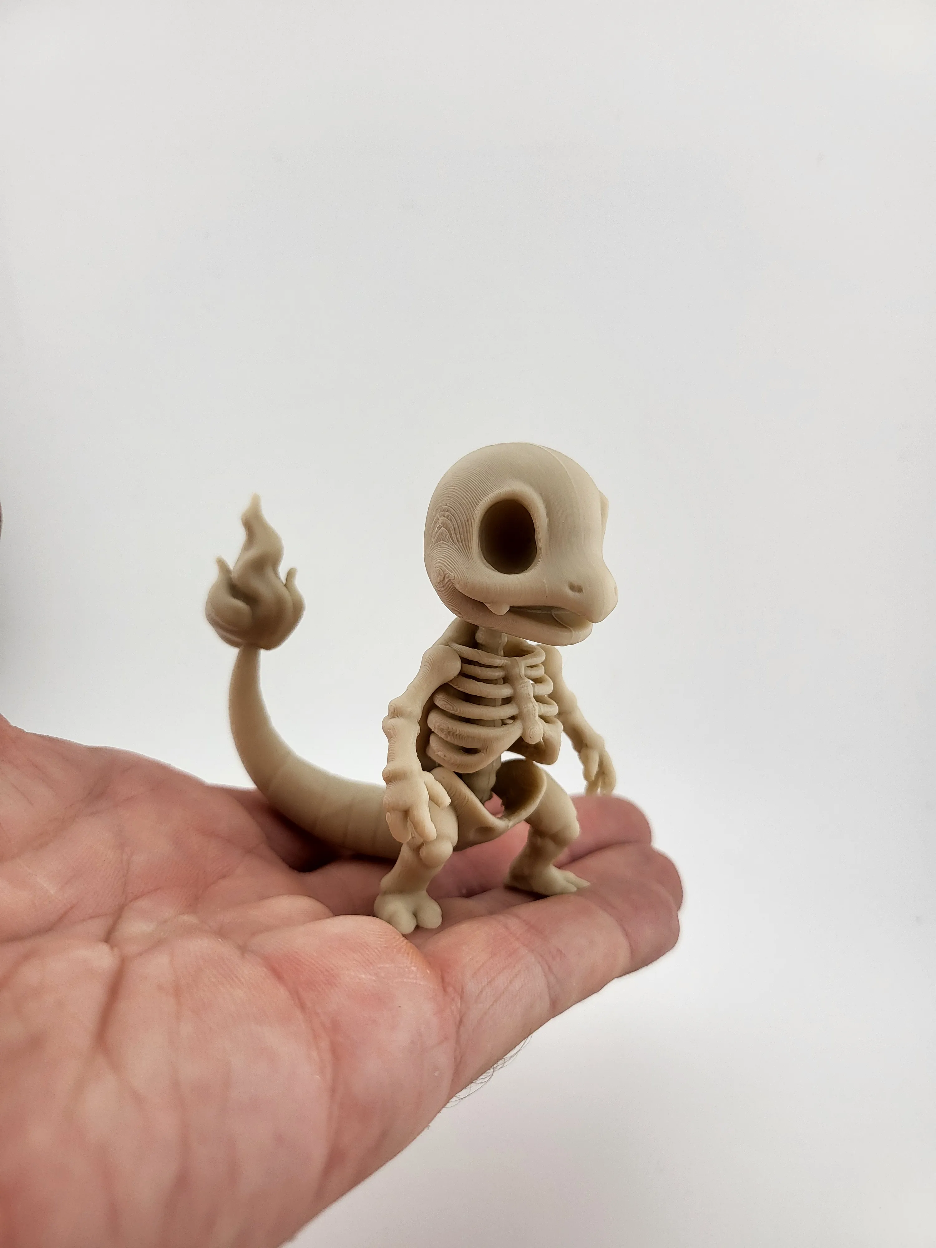 Charmander Pokemon